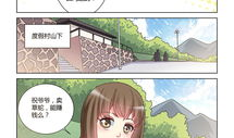 419漫画,网络诈骗背后的黑色幽默与警示
